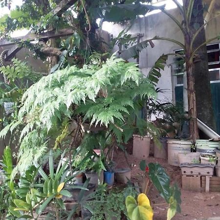 El Caleuche Pansiyon Rio das Ostras Dış mekan fotoğraf